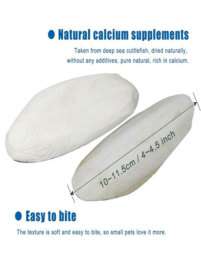 Mivofun 2PCS Natural Cuttlebone for Tortoise Turtles Snails Birds Cockatiels Parakeets Budgies Reptiles Small Animals(4"-4.5",Small) - Image 2